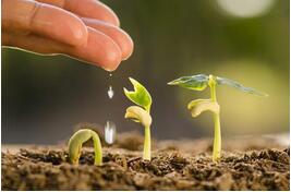 農(nóng)業(yè)管家APP開發(fā):促進農(nóng)業(yè)科學管理