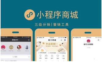 小程序商城開發(fā)_微信小程序商城制作開發(fā)必備四大功能