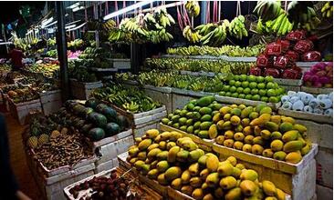 生鮮水果app開發 生鮮水果app開發