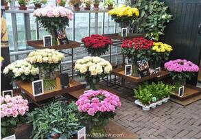 花店小程序開發 花店小程序開發