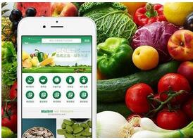 生鮮電商小程序開發 生鮮電商小程序開發