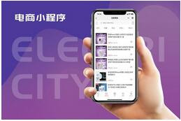 電商小程序開(kāi)發(fā) 電商小程序開(kāi)發(fā)
